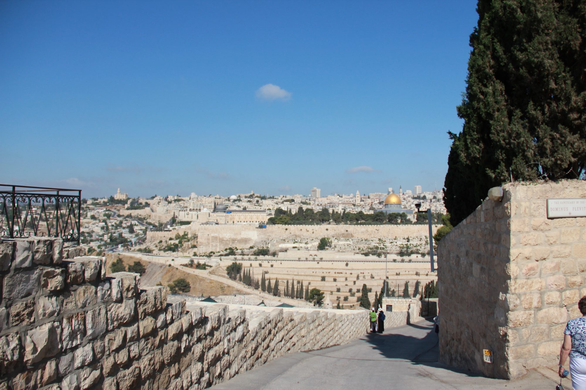 Mount of Olives 21